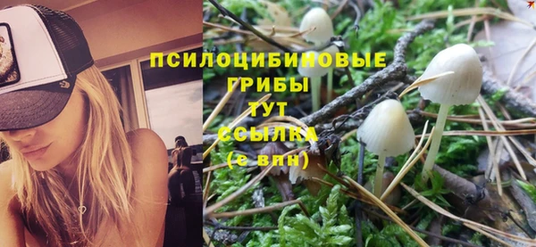 мяу мяу кристалл Дмитров