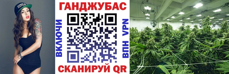 KRAKEN ссылка  Салехард  Бошки марихуана планчик  продажа наркотиков 